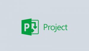 curso-Microsoft-Project-Server