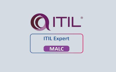 ITIL® Expert Program Capability  (Inglés)